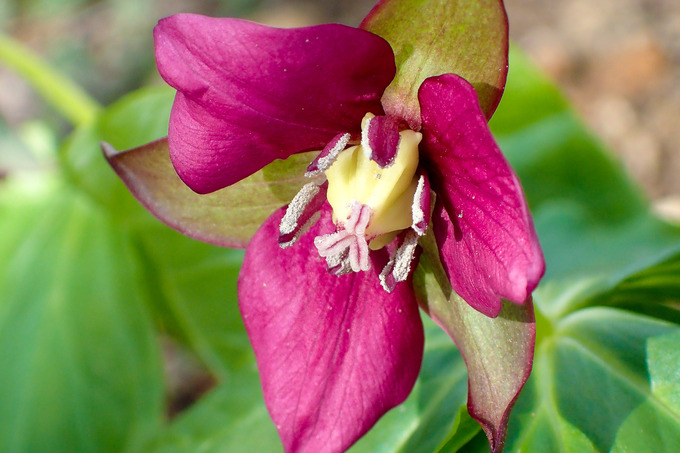 P4270122