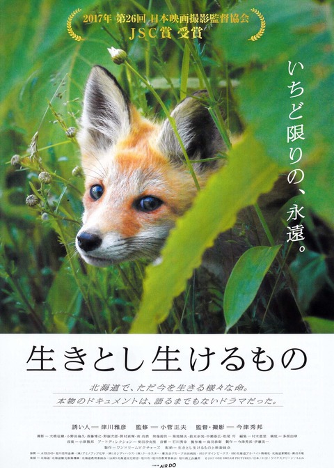 ikitoshi1