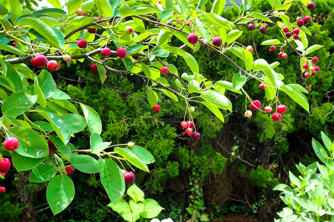 P7020018