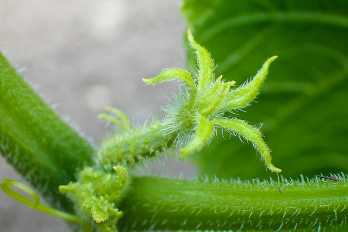 P5300011