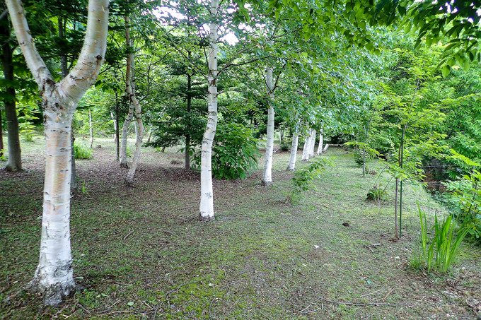 P6110013