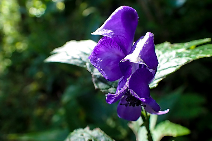P9250122
