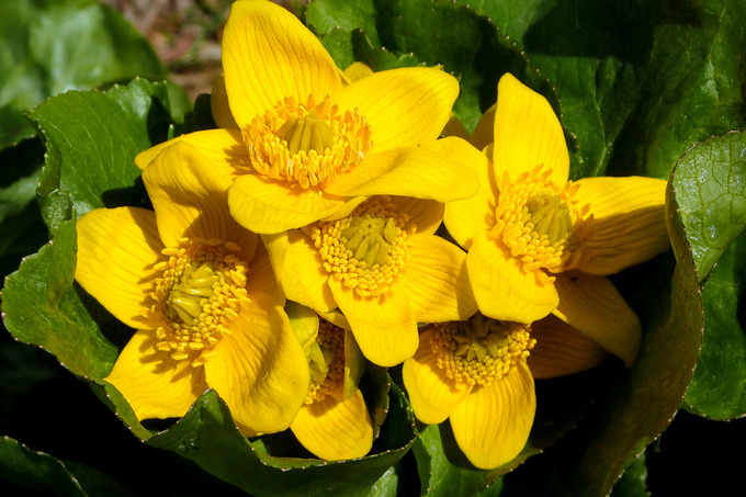 P4140081