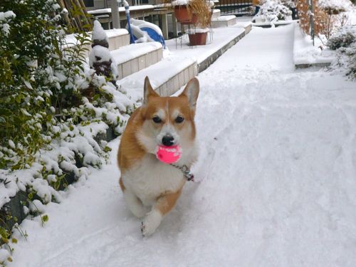 4駆