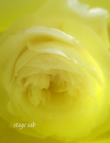 �ץꥶ�ù� (3)