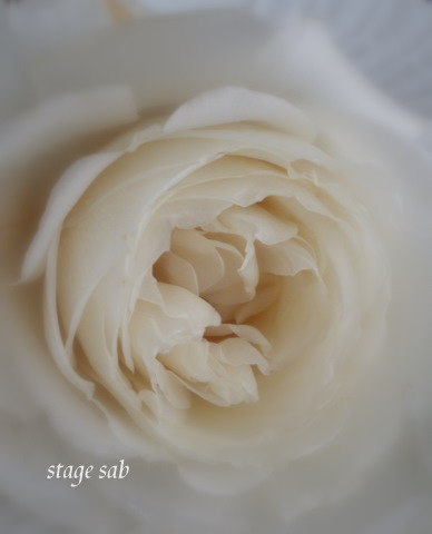 �ץꥶ�ù� (2)