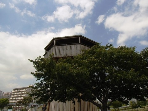 2013_0831_124508-CIMG0310