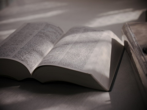 辞書