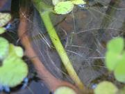 DSC01843