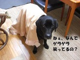 �᤽�᤽
