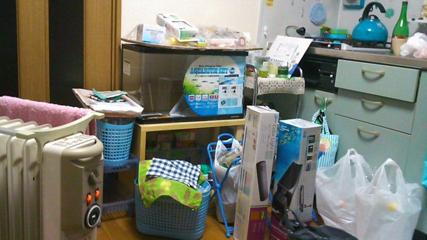 111225_1857~01