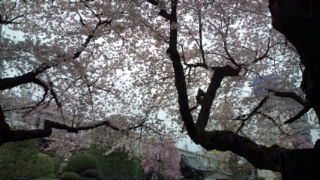 20110409160038