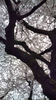 20110409155938