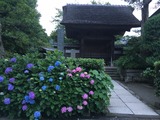 354d068d.jpg