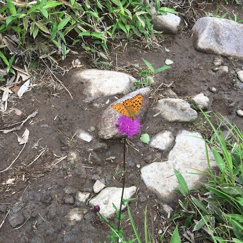 2017-07-24-13-52-11