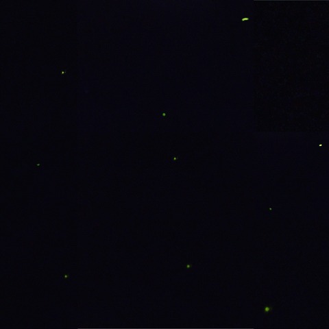 2017-06-04-22-34-51