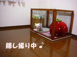 ¥È¥¤¥ì
