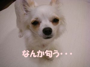 070302