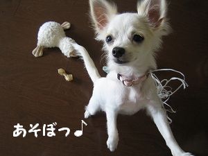 遊ぼっ