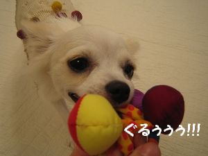 おもちゃ