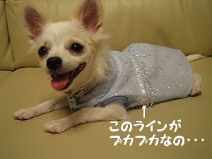水色お洋服