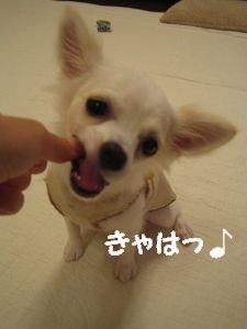 お菓子