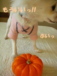 ¥Ï¥í¥¦¥£¥ó£·