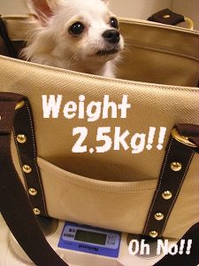 Weight