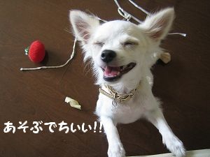 遊ぼっ2