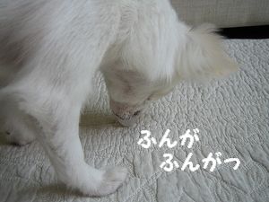 氷2