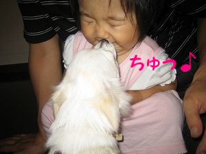 withこゆたん