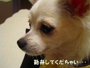 »õËᤣ´