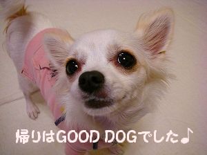 ¥È¥ì¡¼¥Ë¥ó¥°£´