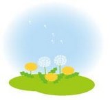 tanpopo1