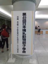 3a5c2853.jpg