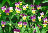 7d95f3b1.jpg