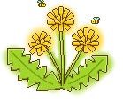 tanpopo2