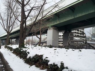 20120203_101917