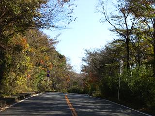90b0508e.jpg
