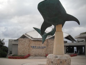 DSCF0528