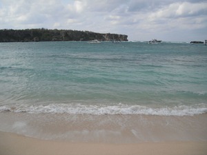 DSCF0618