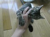 うがうが2