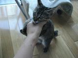 うがうが1