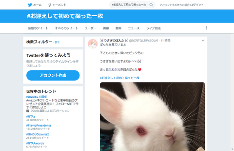 【2019年1/23】お迎えして初めて撮った一枚【タグまとめ】