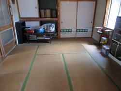 IMG_8175