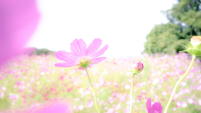 DSC01357