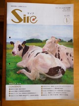サイヤー1月号