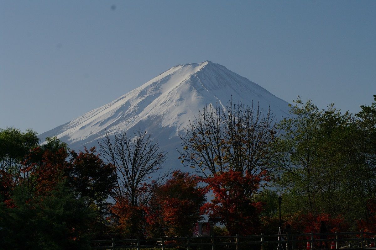1IMGP0010