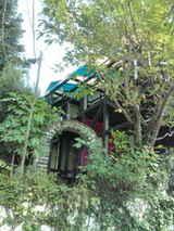 9c808a2e.jpg