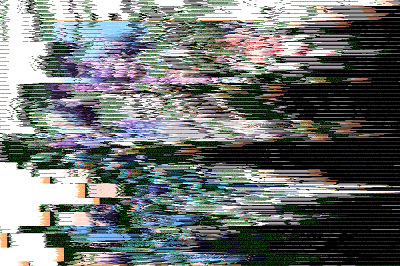 45086Compiler0